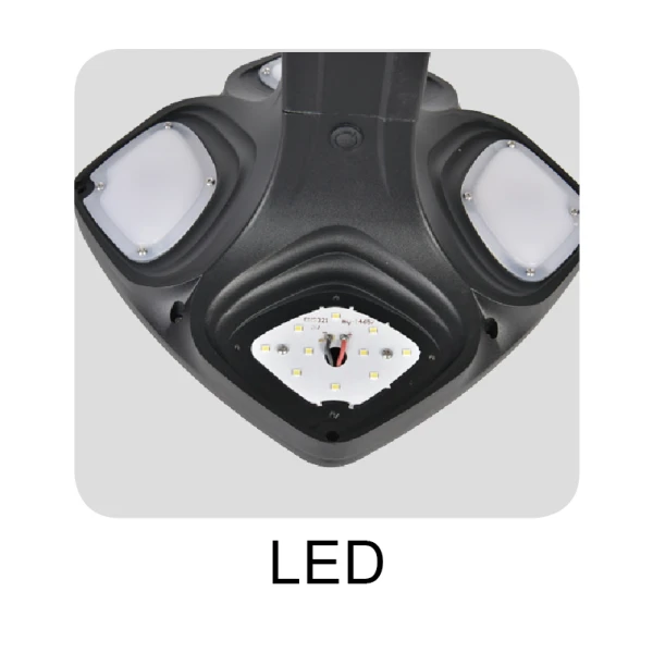 DLW-S-001-01 DLW-S-001-01
